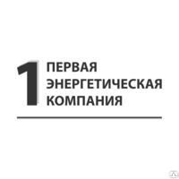 Первая энергетическая компания