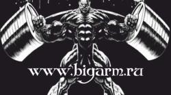 BIGARM